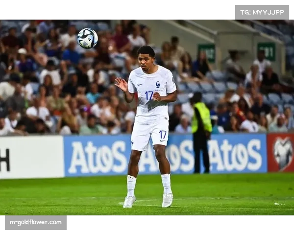 福法纳红牌成为转折点蓝军本赛季已领六张红牌